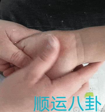 立冬技能最新搭配攻略，助你迎接寒冷季节