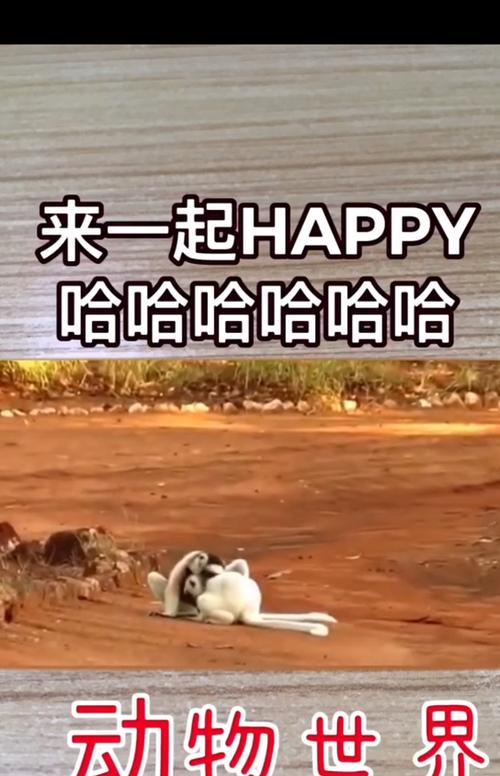猴子2技能跳舞攻略——成为舞王！（掌握关键技巧，猴子2技能跳舞不再难！）