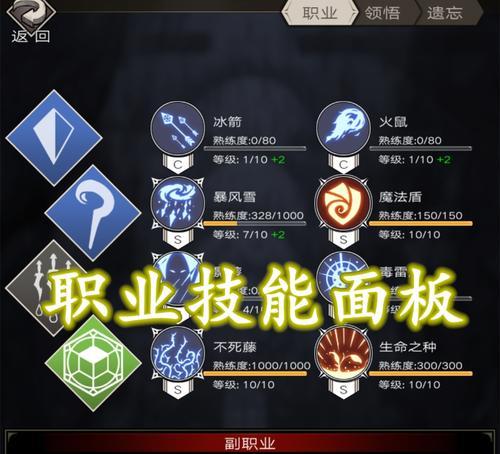《暗黑不朽法师技能介绍攻略》（掌握技能，成为无敌法师！）
