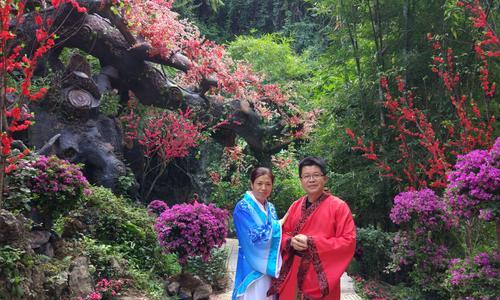 桃花源游戏攻略（探索桃花源的秘密、收获幸福人生的关键提示）