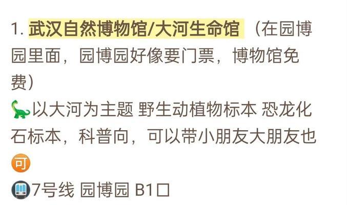 探秘武汉博物馆（一场穿越时空的冒险，解谜与学习并行）