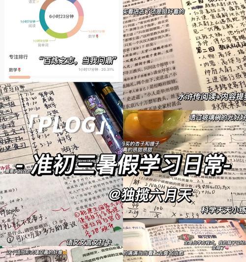 暑假厕所游戏攻略（打发闲暇时光，享受厕所游戏乐趣）