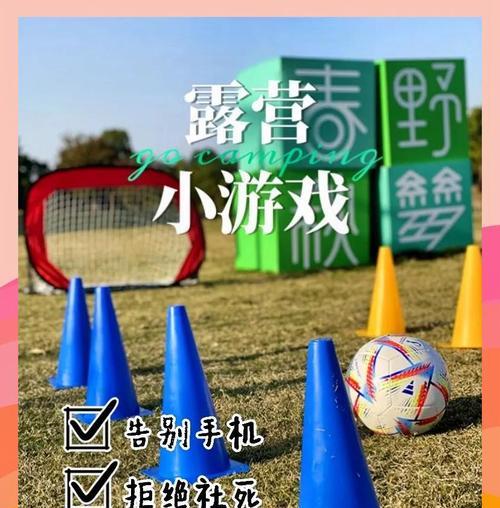 团队露营攻略游戏（通过游戏体验，提升团队合作与领导能力）