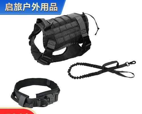 靴子大作战游戏攻略（成为靴界的霸主，掌握决胜之法！）