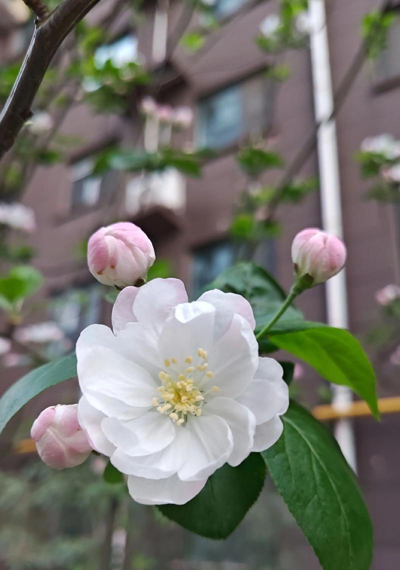 游戏攻略指南（打破束缚，迎接游戏世界的无限可能）